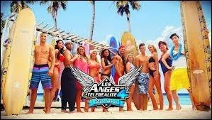 Sur quelle chane passe la srie :  Les Anges de la tlralit 5  ?