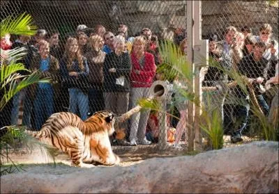 Cet animal est l'un des deux hros naufrags de ce film !