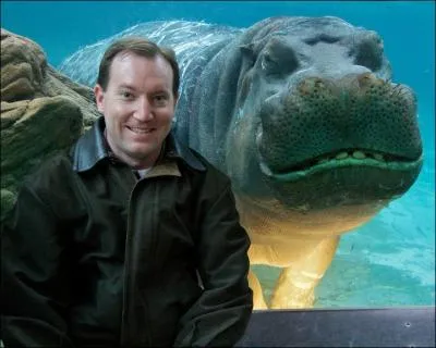 Sur cette photo, il est vident qu'il s'agit d'un hippopotame !