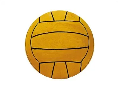 Dans quel sport utilisons-nous ce ballon ?