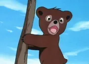 Quiz Les ours des dessins anims