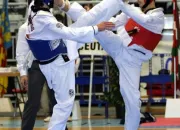 Quiz Taekwondo