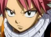 Quiz Fairy Tail Qui est-ce(1)