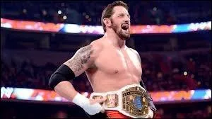 Wade Barrett a eu quels titre(s) et récompense(s) à la WWE ?