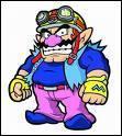 Quiz Wario