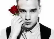 Quiz Tout savoir sur Liam Payne des One Direction !