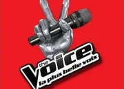 Quiz The Voice 2