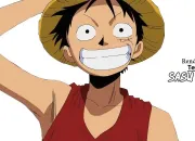 Quiz One Piece : qui suis-je ?