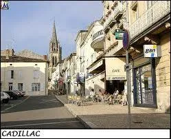 Je commence cette nouvelle partie par une promenade  Cadillac ( Gironde ) o la ville est chef-lieu ...