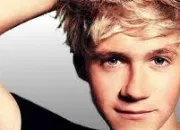 Quiz Tout savoir sur Niall Horan