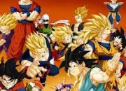 Quiz Dragon Ball Z : les personnages