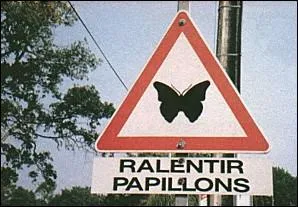 Ce papillon est tomb dans le panneau !  est un nom de localit que vous trouverez souvent en :