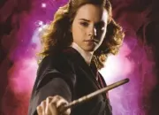 Quiz Spcial Harry Potter - Quel est son nom ?