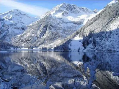 Vous roulez doucement sur une route du Tyrol autrichien, soudain ... ... ... . traverse devant vous !