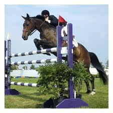 Quiz Equitation