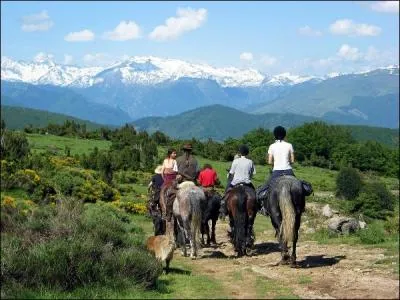 Dans une descente, il faut se mettre :