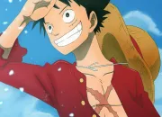 Quiz One Piece (6) autrement : anniversaires