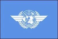 Je suis une organisation internationale qui dépend de l'ONU. Mon siège est situé à Montréal. Je suis dédiée aux réglementations en matière aéronautique.