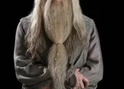 Quiz Albus Dumbledore