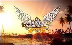 Au dbut de la saison, combien  les Anges  taient-ils ?