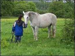 Aller vers son poney se dit :