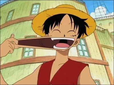 Quel est le fruit du dmon de Monkey D. Luffy ?