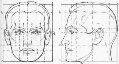 O se trouve la ligne des yeux par rapport  la tte ?