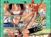 Quiz Tomes de One Piece