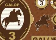 Quiz Rvision galop 3