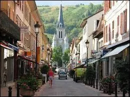 Nous commenons par une promenade  Albertville ( Savoie ). La ville est chef-lieu ...