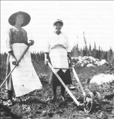 Qui a fond les Cercles de Fermires du Qubec ?