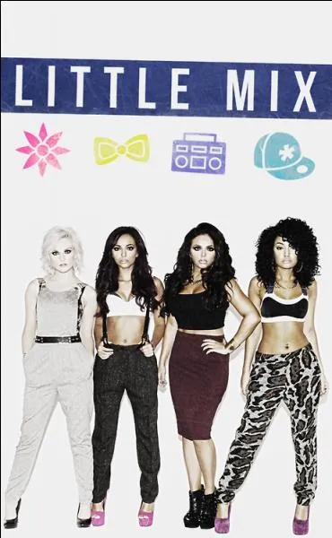 Comment sont appels les fans des Little Mix ?