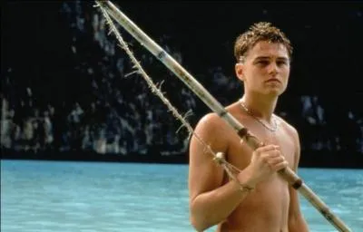 Film ralis par Danny Boyle en 2000, avec Leonardo DiCaprio, Guillaume Canet et Virginie Ledoyen.