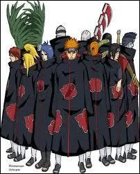 Combien y a-t-il de membres dans l'Akatsuki ?