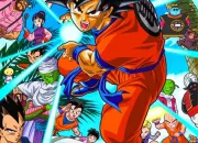 Quiz Vrai / faux Dragon Ball Z