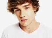 Quiz Liam Payne (One Direction)