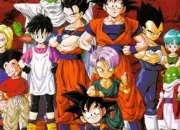 Quiz Dragon Ball Z : vrai ou faux ?