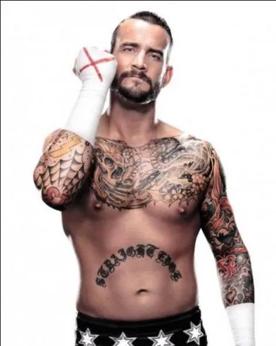 Quel est le finisher de Cm Punk ?