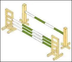 Comment s'appelle cet obstacle ? (photo)