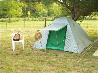 Quel chanteur se tranait des tonnes de cafard au camping du flot bleu ?