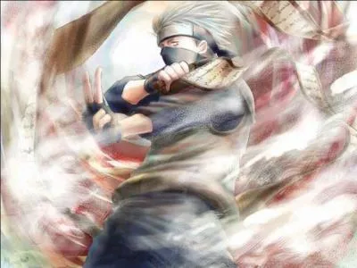 Quels animaux Kakashi invoque-t-il ?