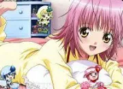 Quiz Shugo Chara