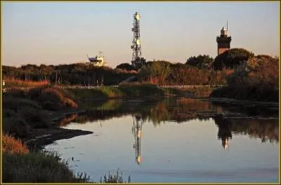 Quel massif dunaire pourrez-vous admirer en Camargue gardoise ?