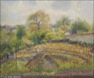 Qui a peint   La vigne, aprs-midi , en 1902 ?