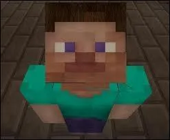 Quel est le personnage principal de Minecraft ?