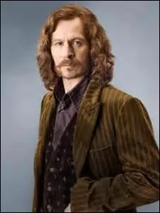 Qui a tu Sirius Black ?