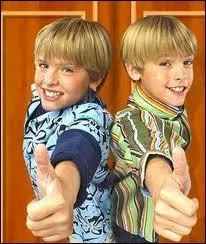 Avant  La Vie de croisire de Zack et Cody , dans quelle srie jouaient-ils ?