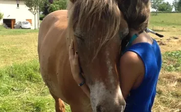 Quiz Chevaux