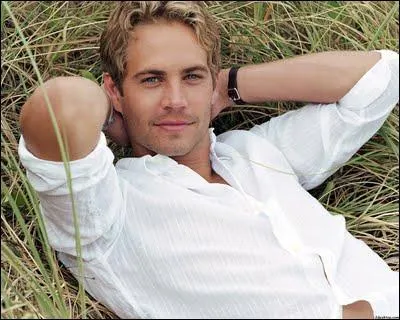 Dans quels films Paul Walker a-t-il jou ?