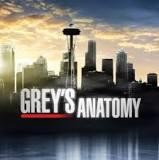 Quiz Grey s anatomy